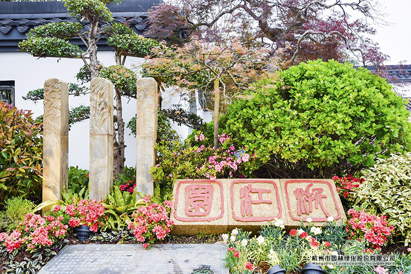 电竞比赛押注app