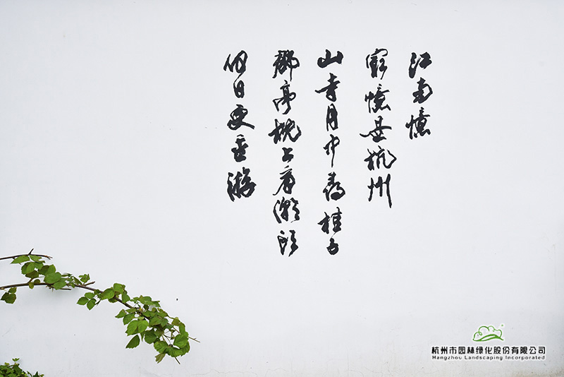 电竞比赛押注app