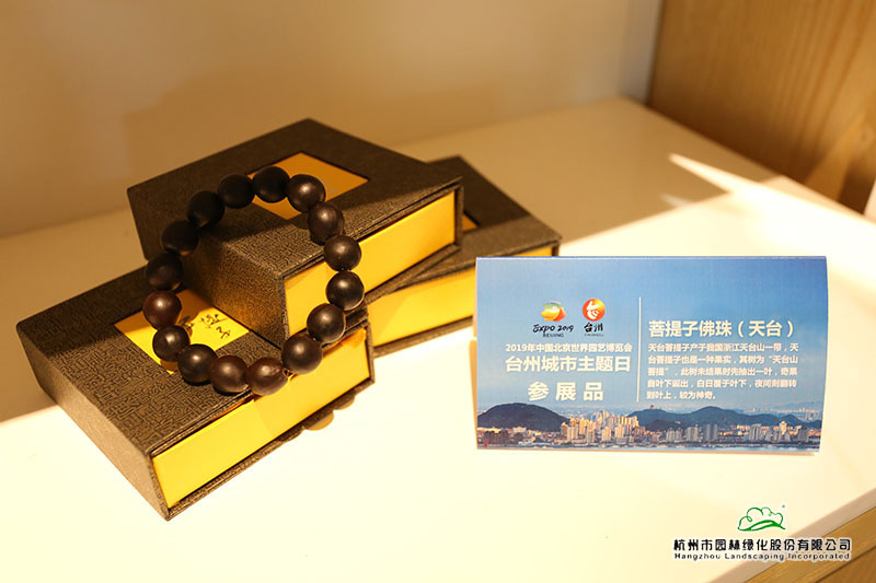 电竞比赛押注app