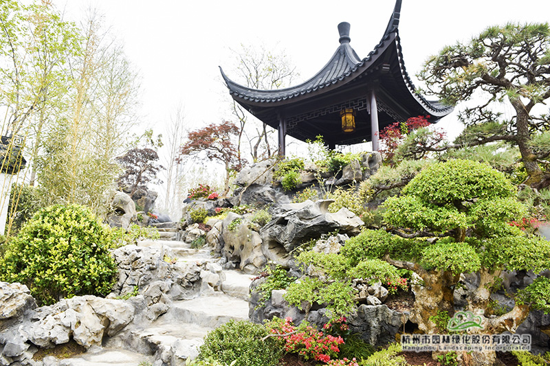 电竞比赛押注app