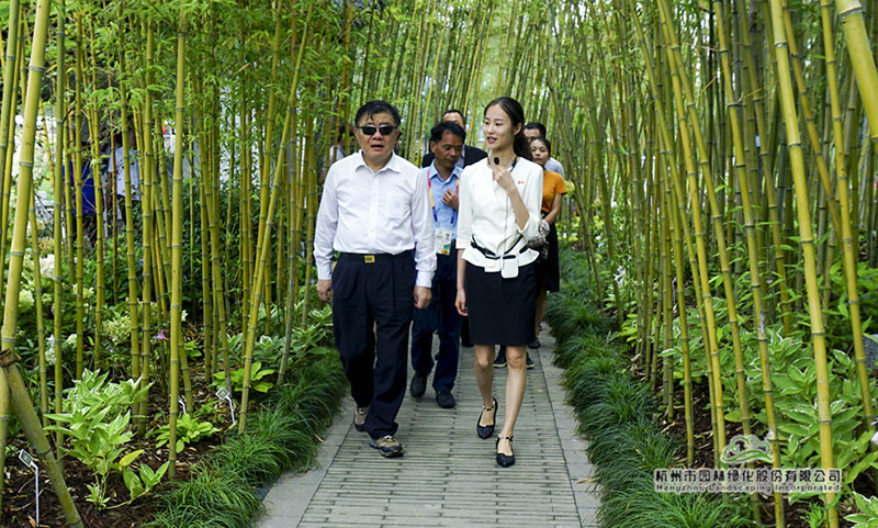 电竞比赛押注app