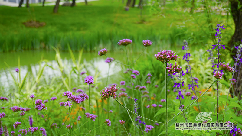 电竞比赛押注app