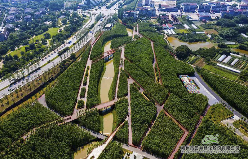 电竞比赛押注app