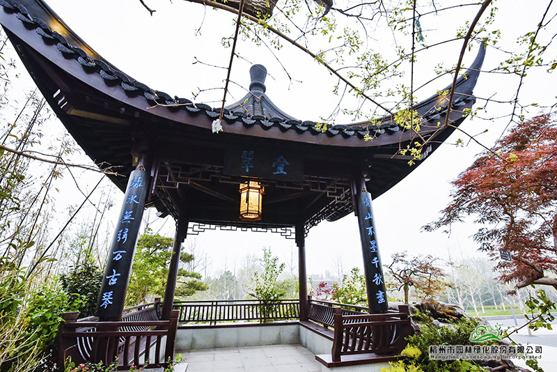 电竞比赛押注app