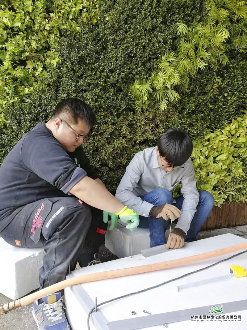 电竞比赛押注app