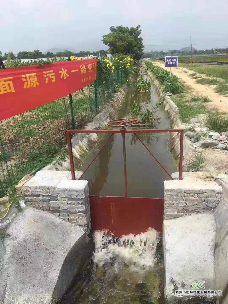 电竞比赛押注app