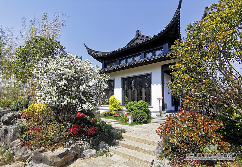 电竞比赛押注app