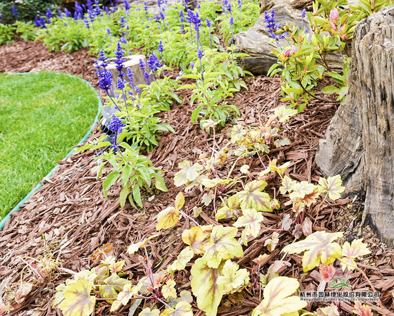 电竞比赛押注app