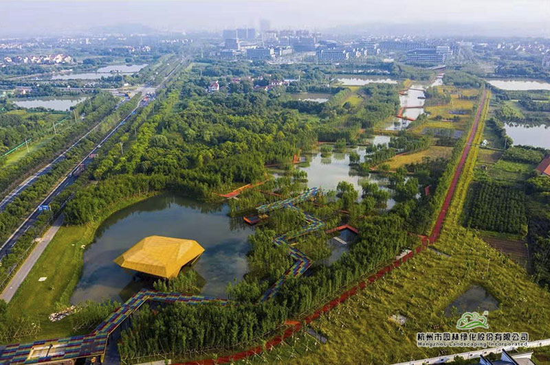 电竞比赛押注app