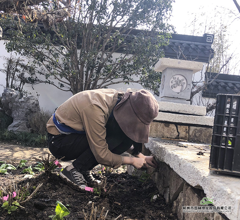 电竞比赛押注app