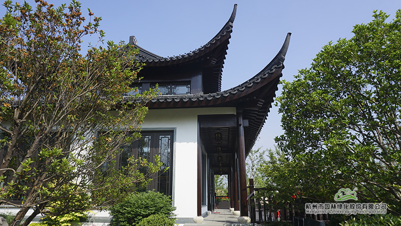 电竞比赛押注app