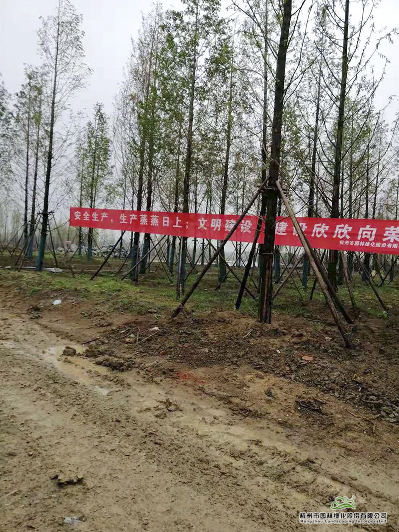 电竞比赛押注app