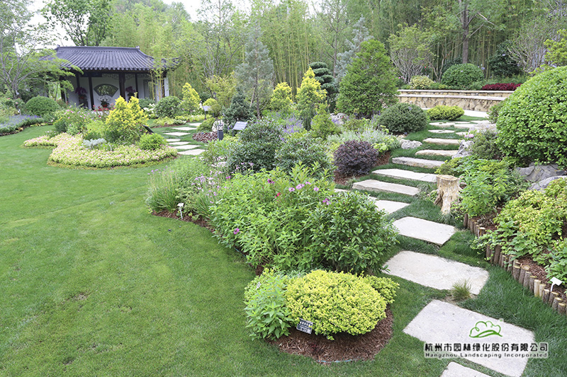 电竞比赛押注app