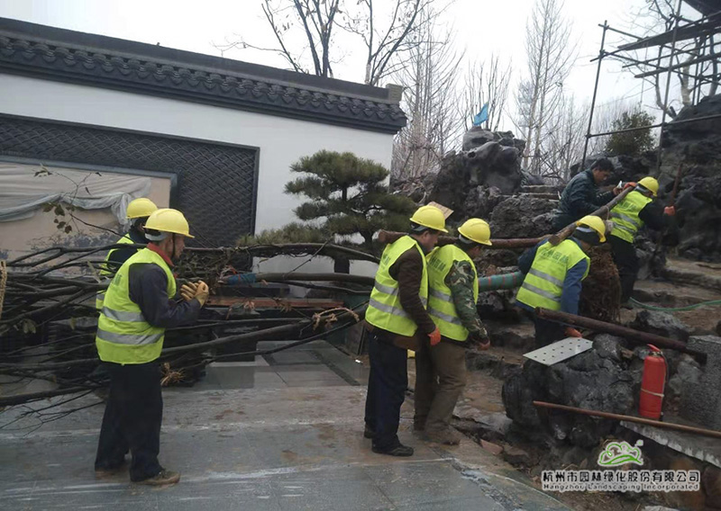 电竞比赛押注app