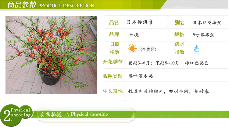 电竞比赛押注app