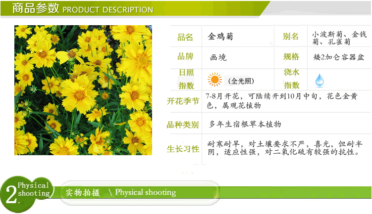 电竞比赛押注app