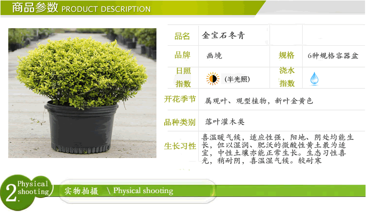 电竞比赛押注app