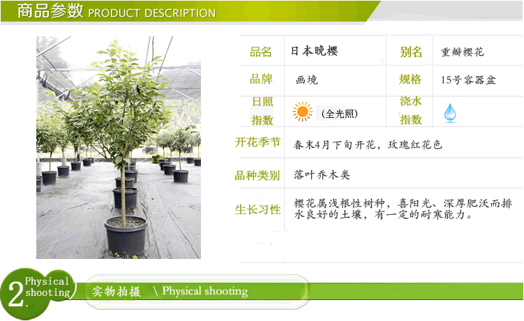 电竞比赛押注app