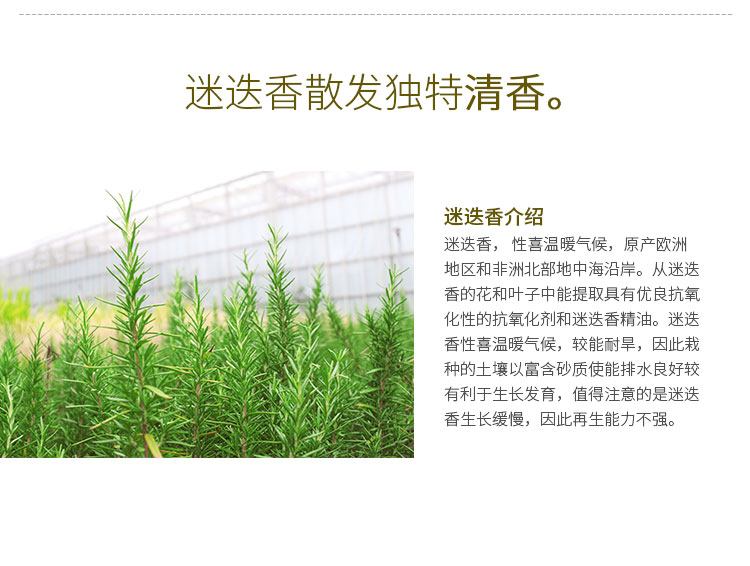 电竞比赛押注app