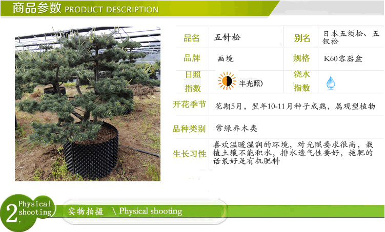 电竞比赛押注app