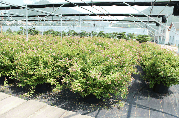 电竞比赛押注app