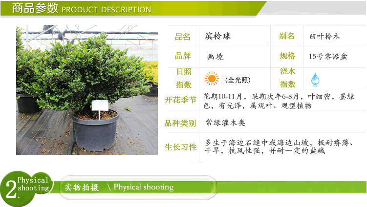 电竞比赛押注app