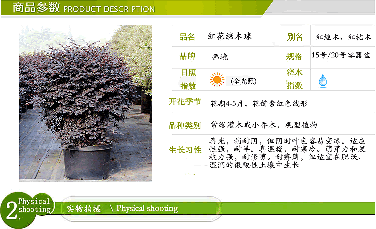 电竞比赛押注app