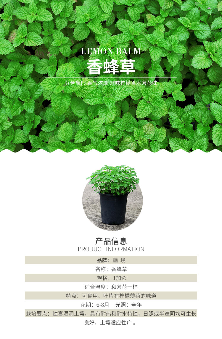 电竞比赛押注app