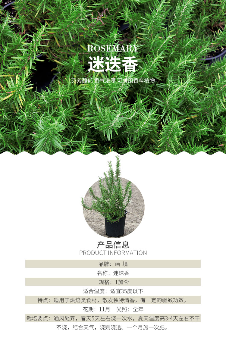 电竞比赛押注app