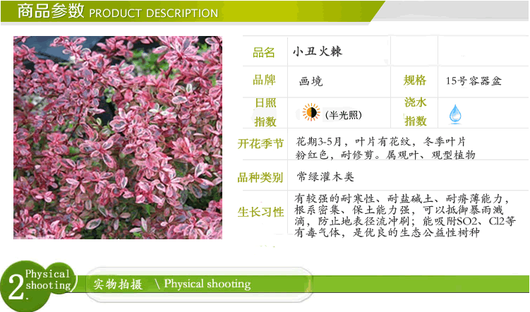 电竞比赛押注app