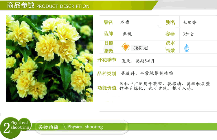 电竞比赛押注app