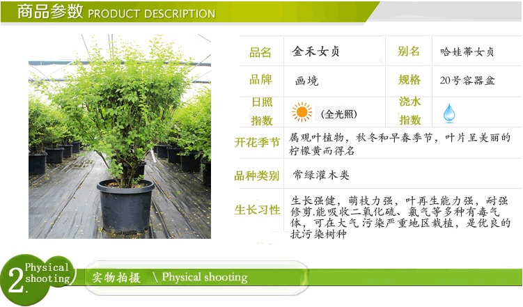 电竞比赛押注app