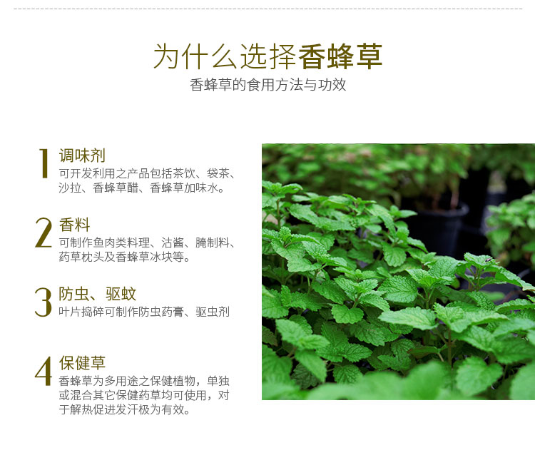 电竞比赛押注app