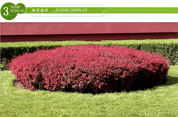 电竞比赛押注app