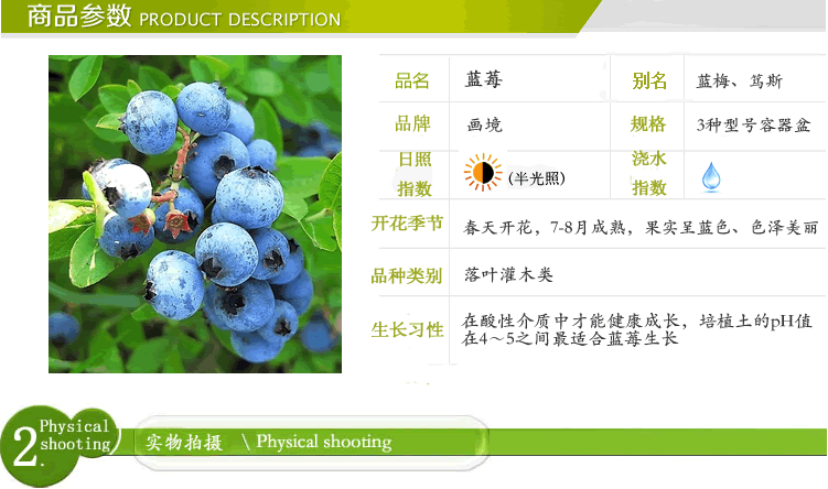 电竞比赛押注app