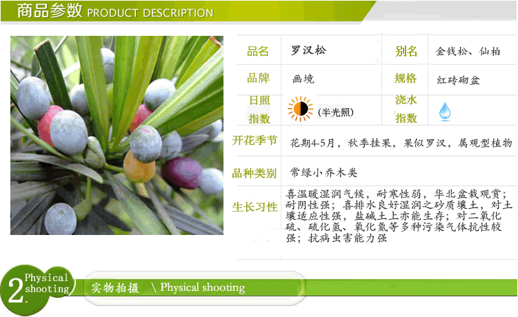 电竞比赛押注app