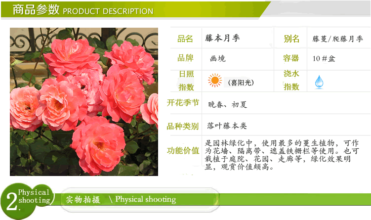 电竞比赛押注app