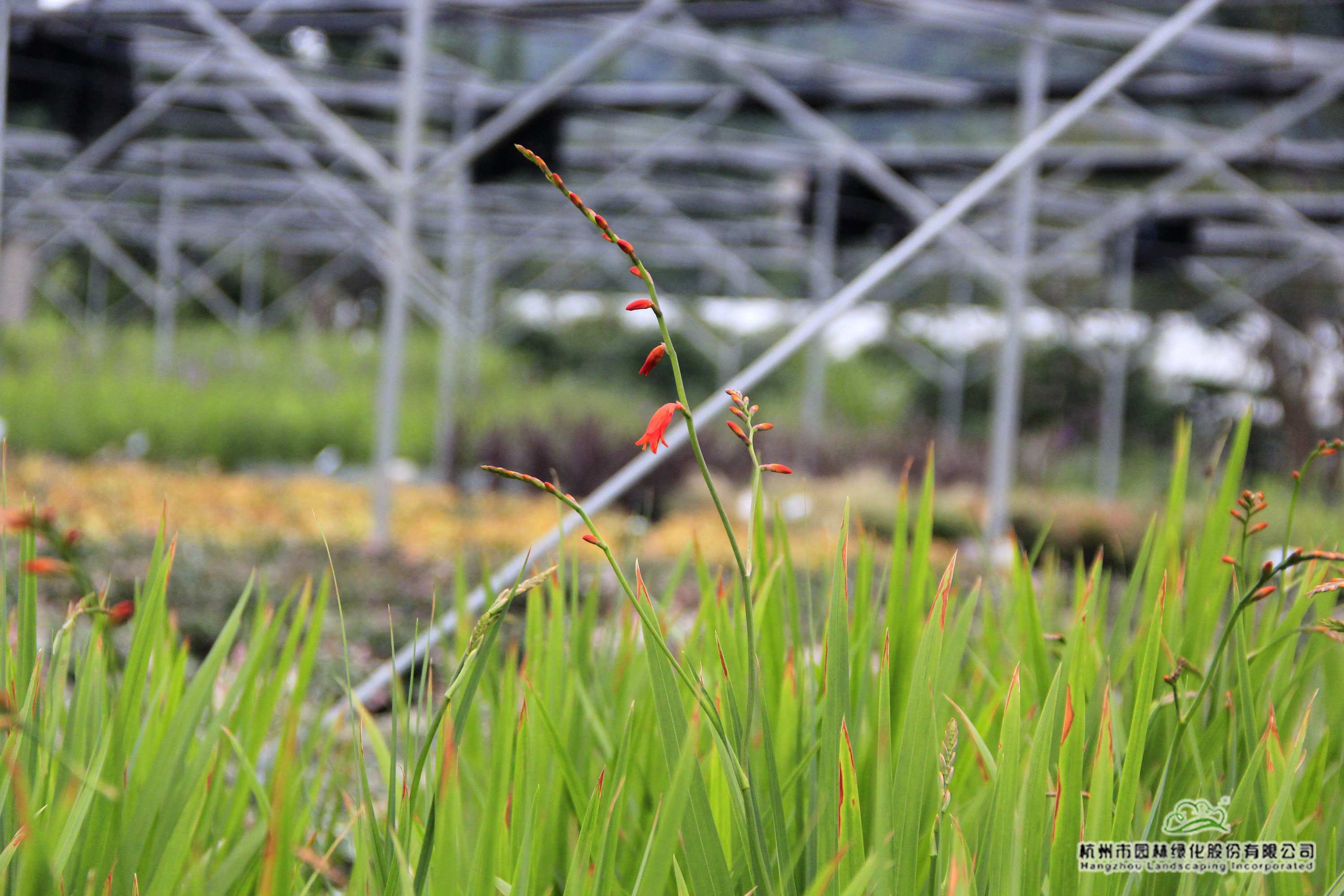 电竞比赛押注app