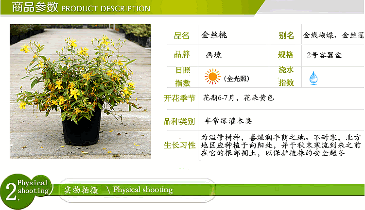 电竞比赛押注app