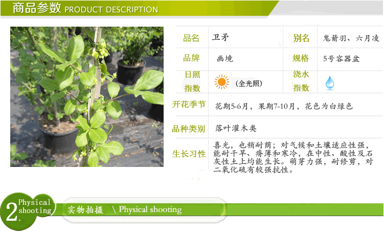 电竞比赛押注app