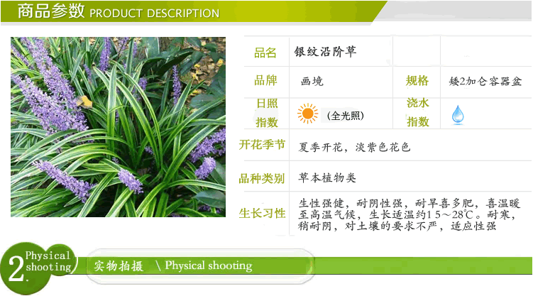 电竞比赛押注app