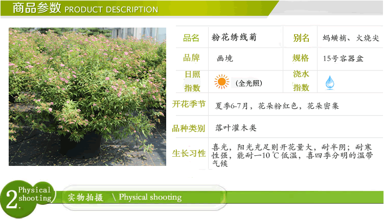 电竞比赛押注app