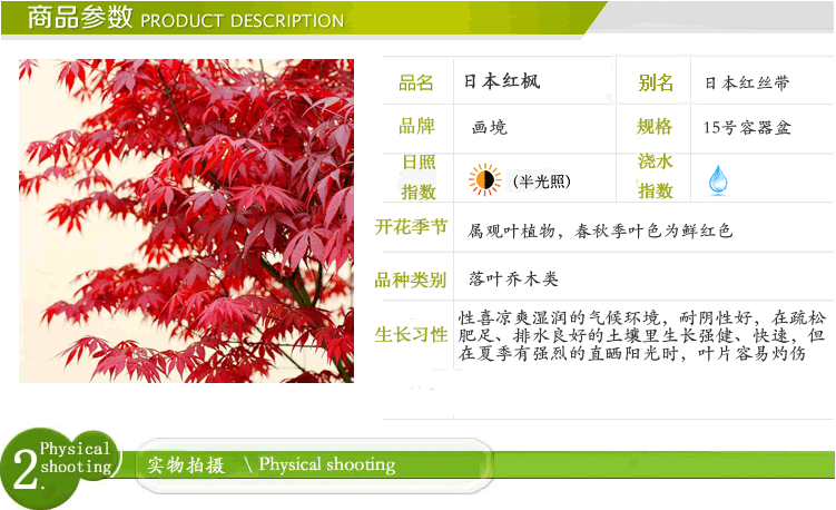 电竞比赛押注app