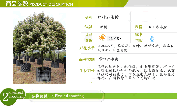 电竞比赛押注app