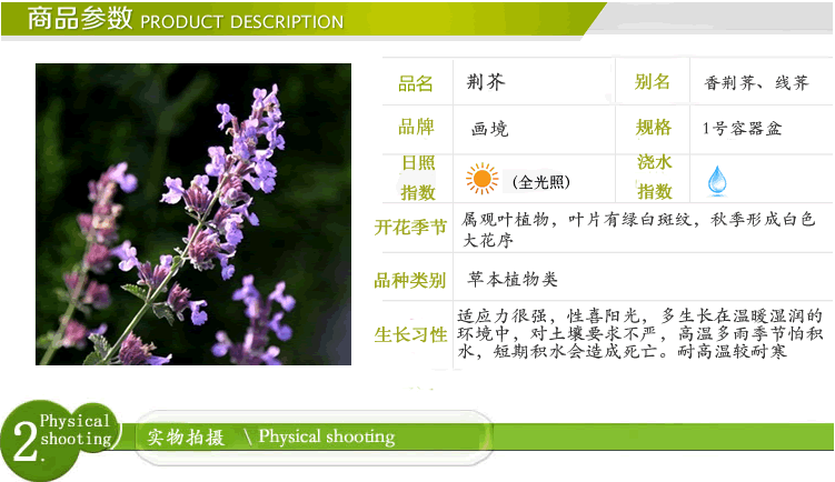 电竞比赛押注app
