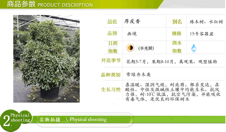 电竞比赛押注app