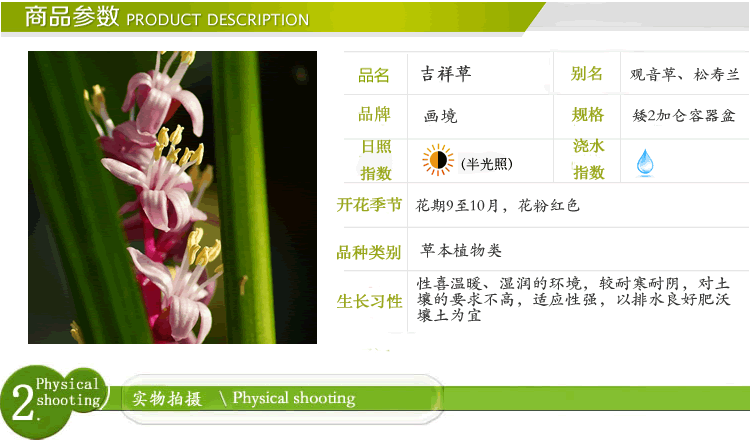 电竞比赛押注app