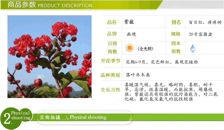 电竞比赛押注app