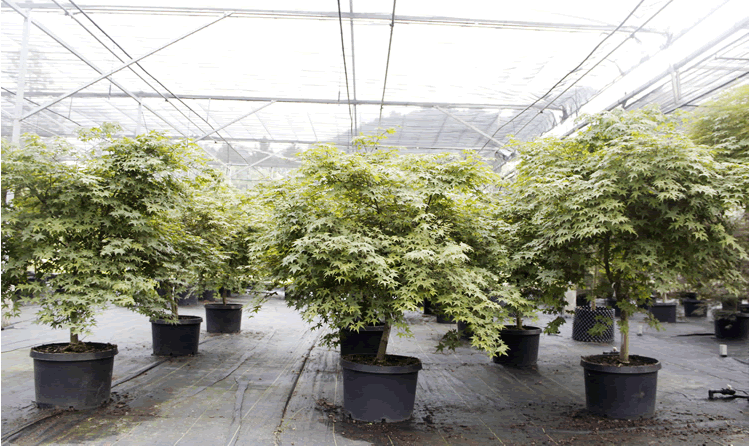 电竞比赛押注app