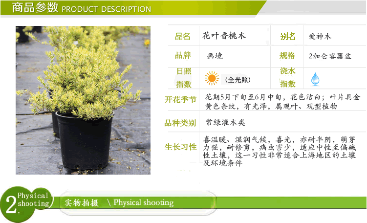 电竞比赛押注app